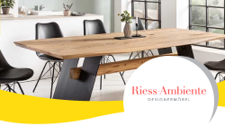 teaser_riess-ambiente_w250h140